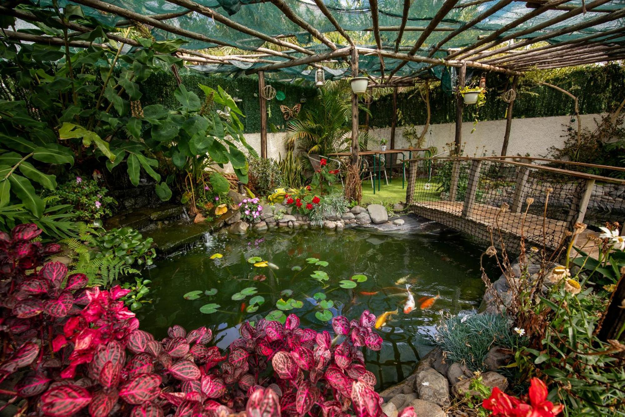 Levada House Prazeres Villa Bagian luar foto